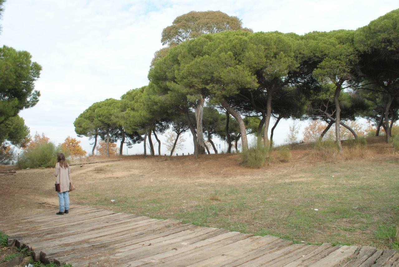 Apartamento Calle Fundadores Isla Cristina Eksteriør billede